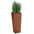 Cube Planters