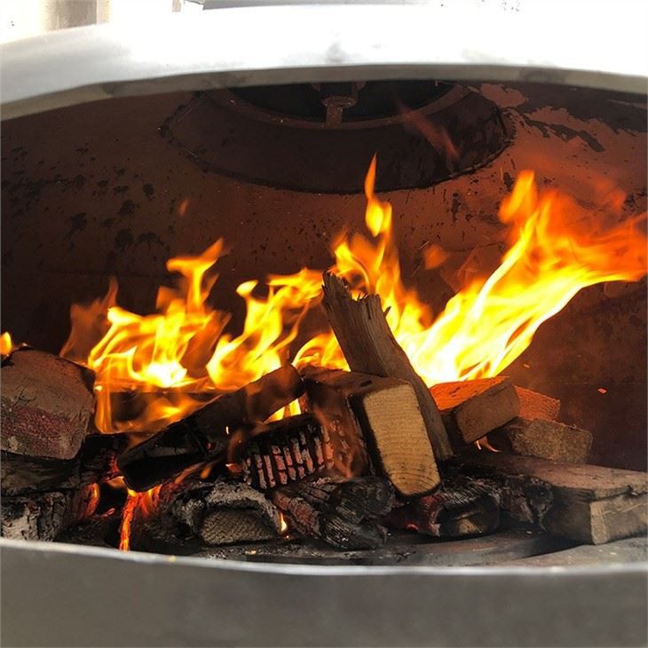 Interior Hanging Suspend Fireplace