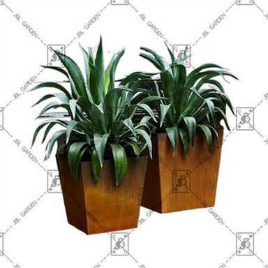 کاشت های مدرن بزرگ در فضای باز