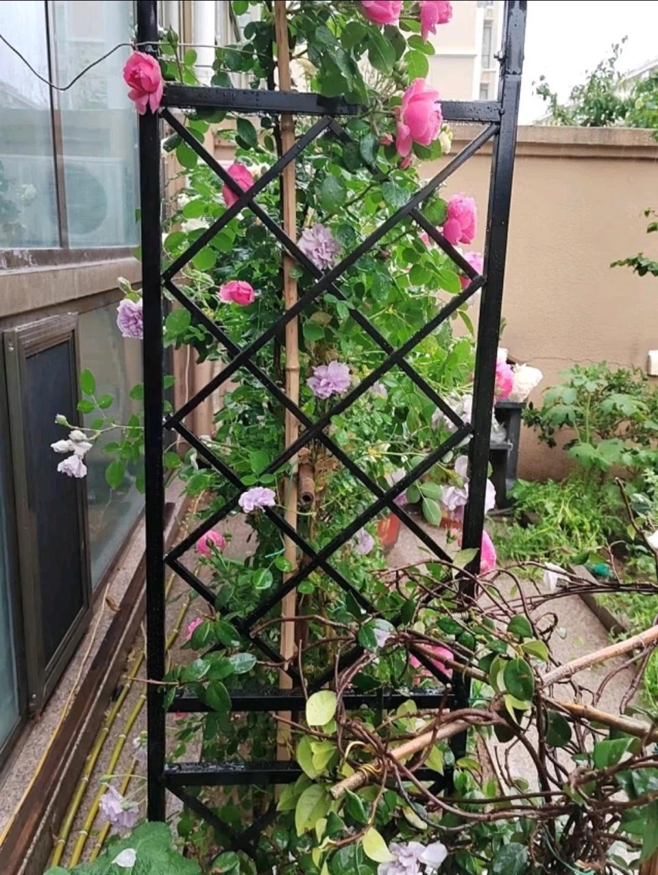 Garden Metal Flower Trellis