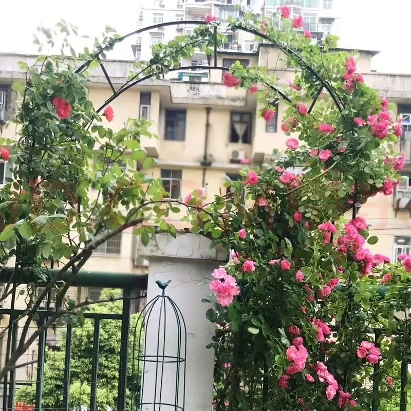 Garden Metal Flower Trellis