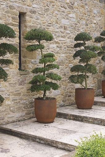 Rusty Steel Planters suppliers
