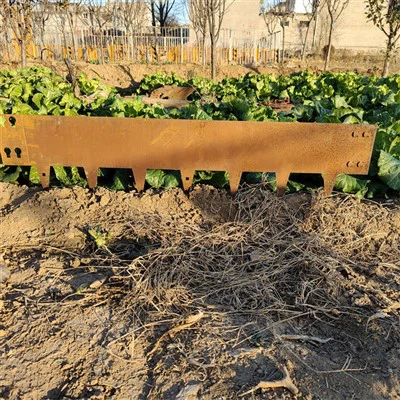 Corten Steel Garden Edge For Garden